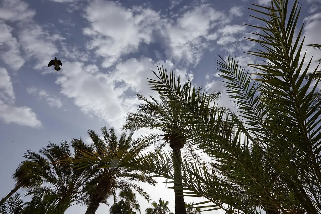 Dar Ayniwen Garden Hotel&Bird Zoo Marrakesh
