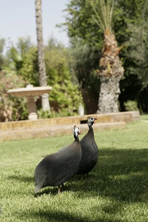 Dar Ayniwen Garden Hotel & Bird Zoo Marrakesh