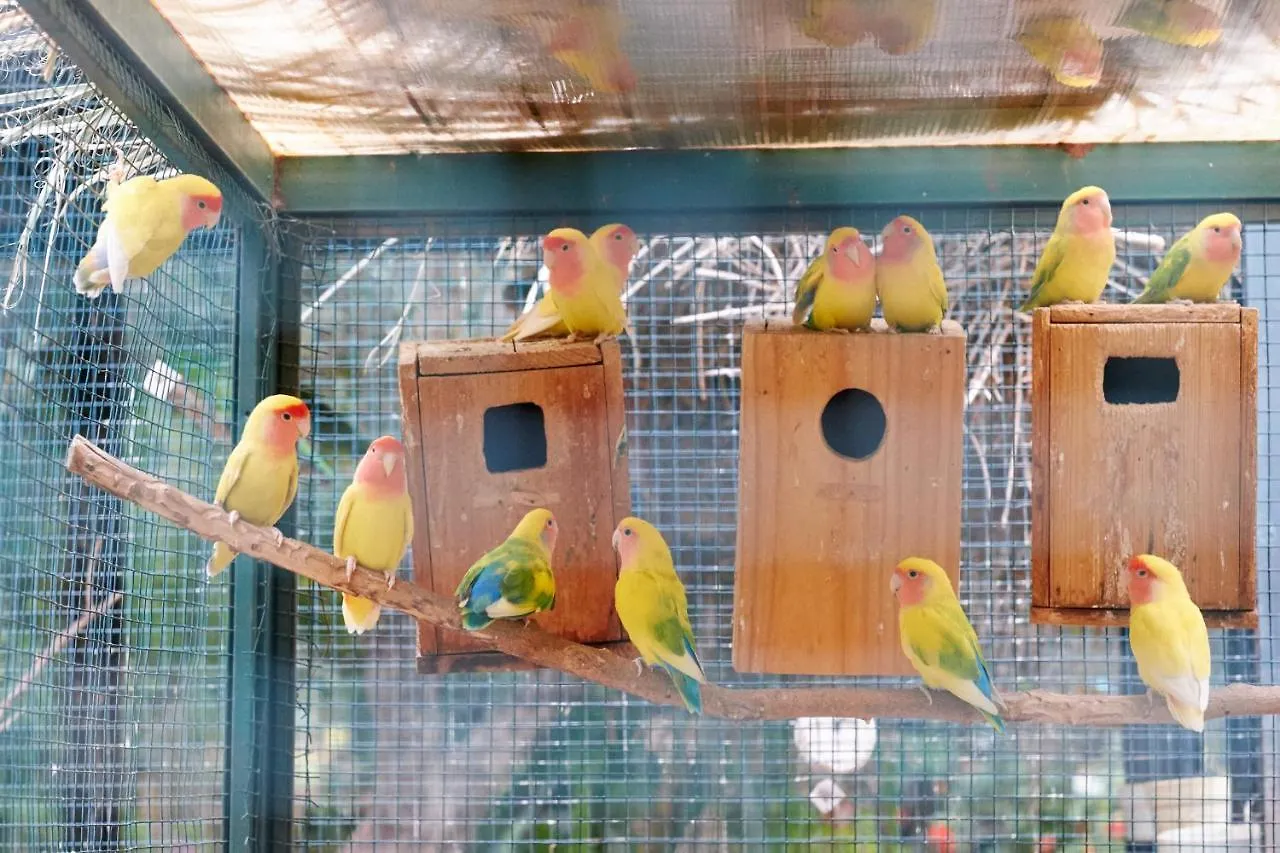 Guest house Dar Ayniwen Garden Hotel & Bird Zoo Marrakesh